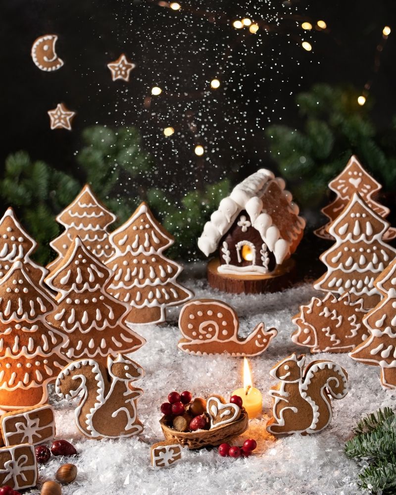 Photograph by Madeleine Steinbach