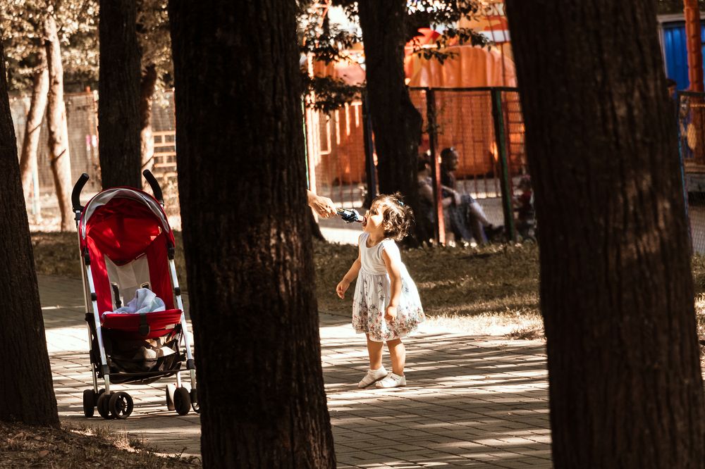 Photograph by Людмила Казак