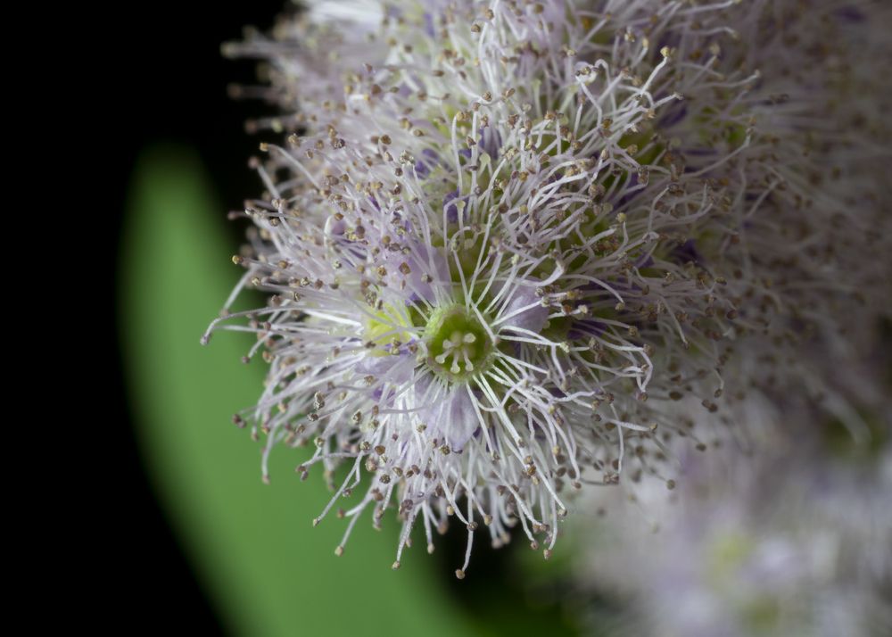 Photograph by Дмитрий Бельмаз