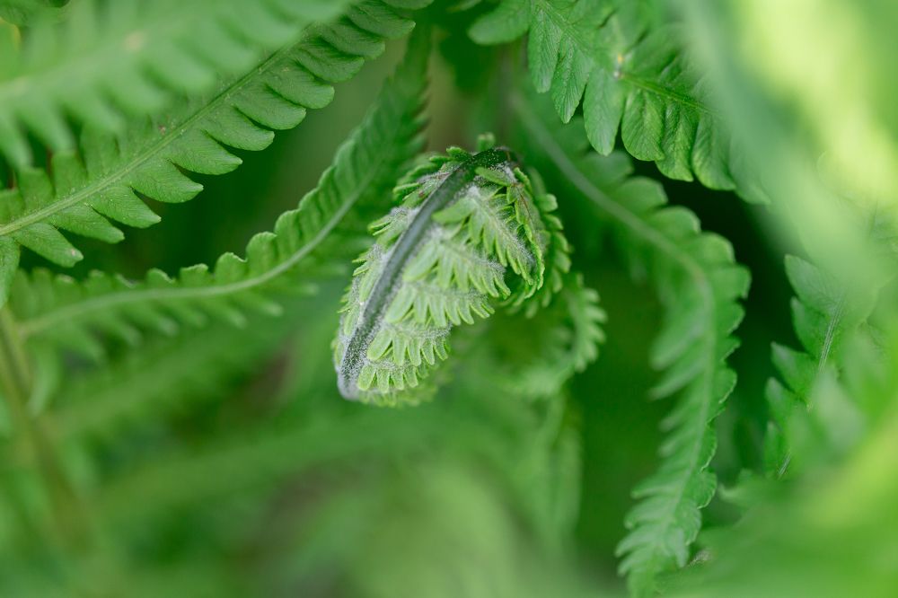 Photograph by Анастасия Петрова