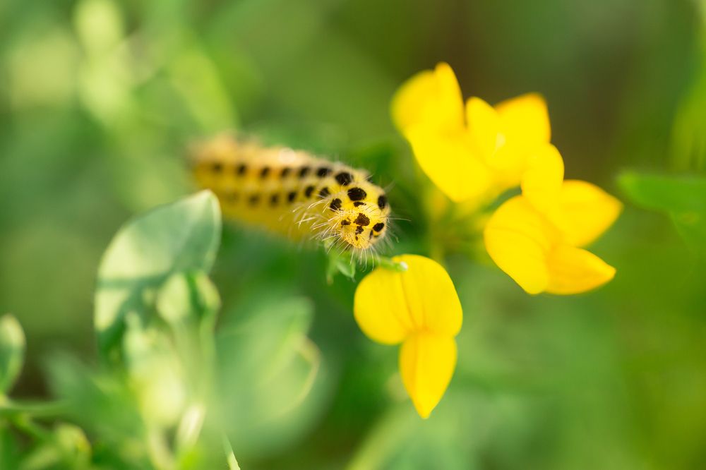 Photograph by Анастасия Петрова