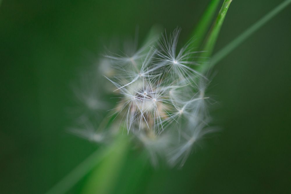 Photograph by Анастасия Петрова