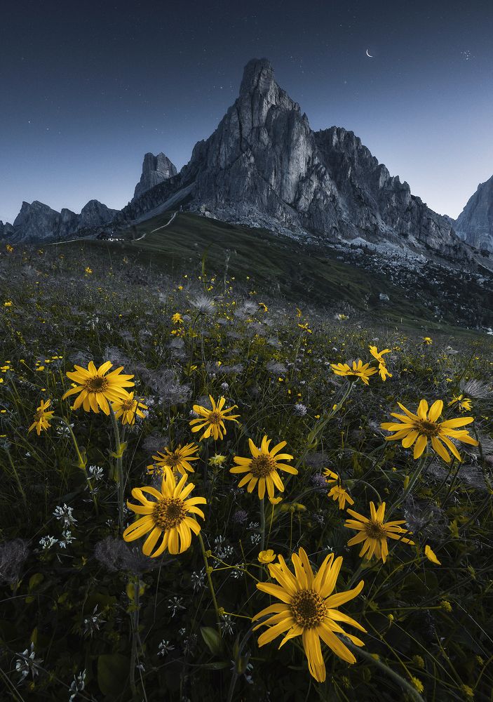 Photograph by Roksolyana Hilevych