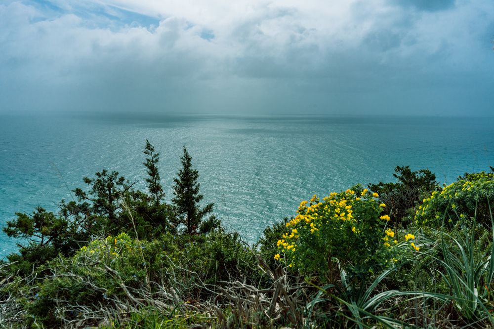Photograph by Анна Фрезе