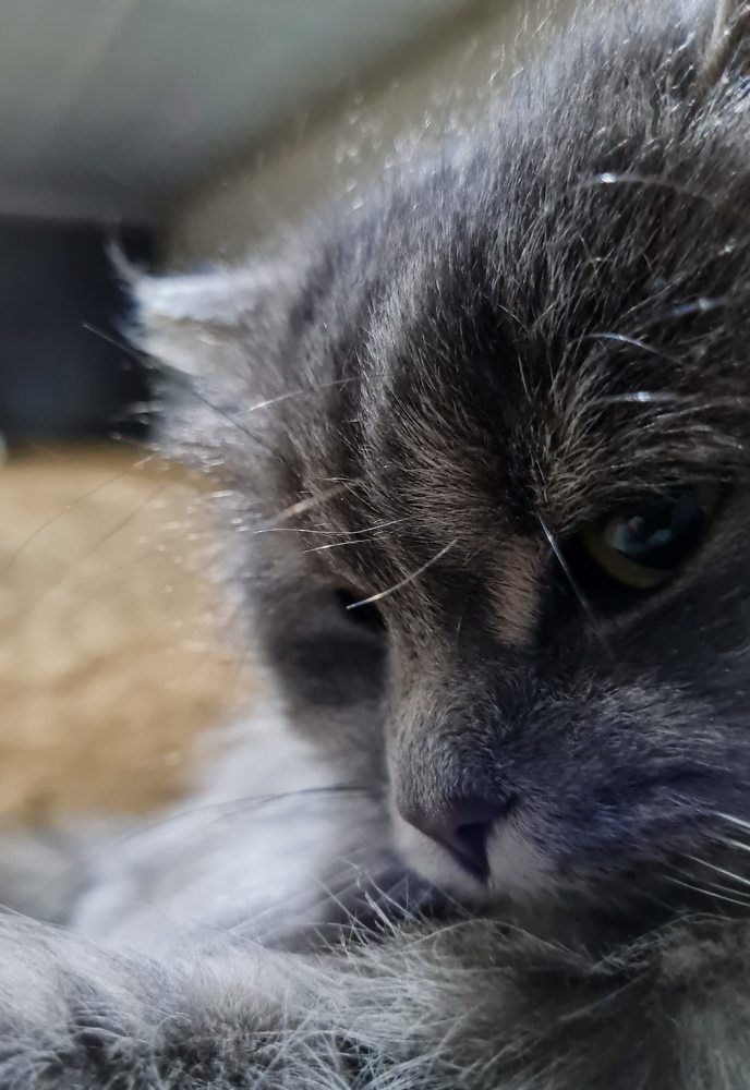 Photograph by Anastasiia