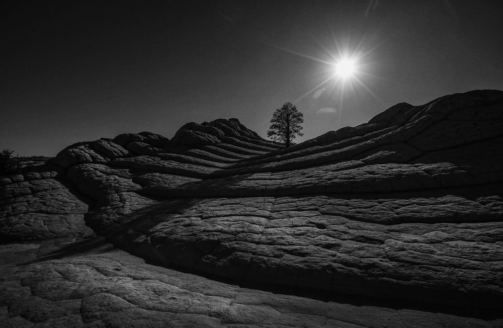 Photograph by Галина Ломако