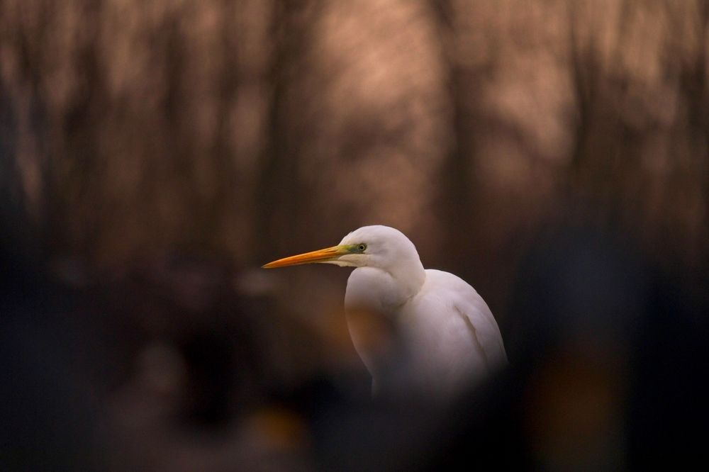 Photograph by Juraj Benčík