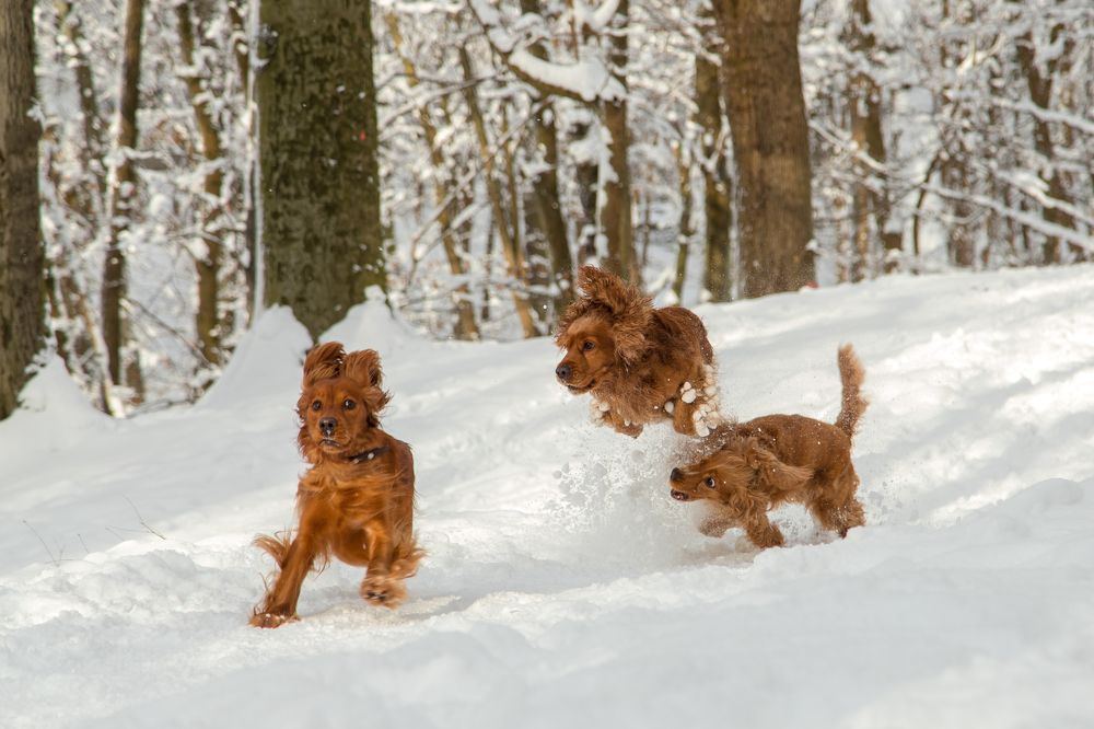 Photograph by Наталья Брюхненко
