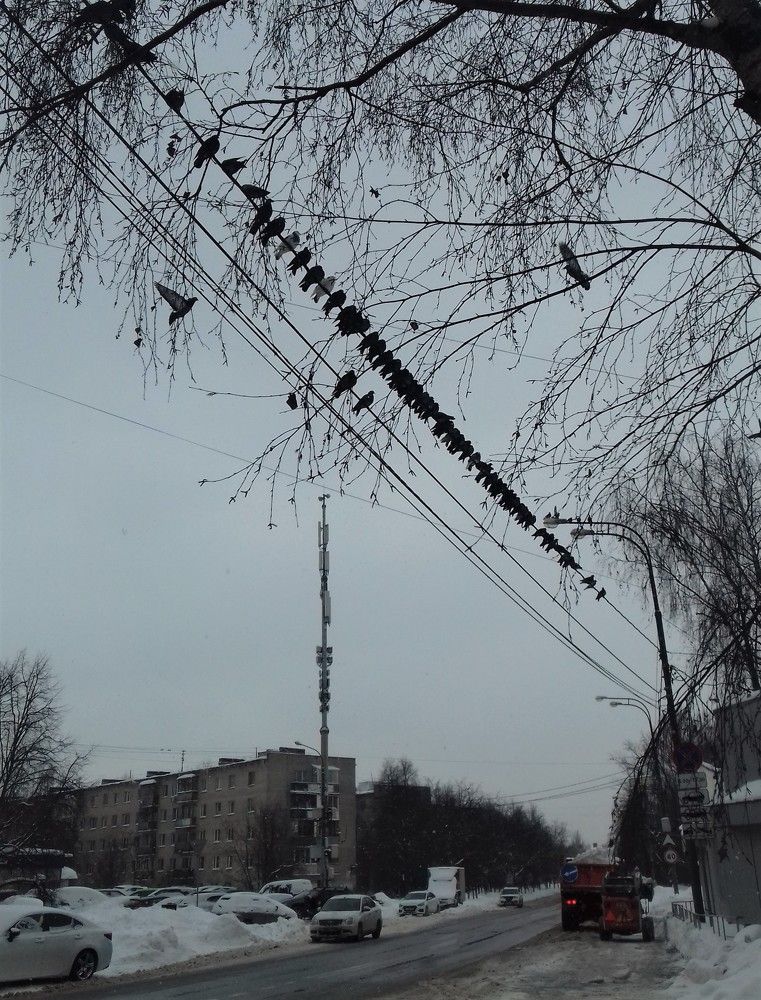 Фотография автора Владислава Андрюнина