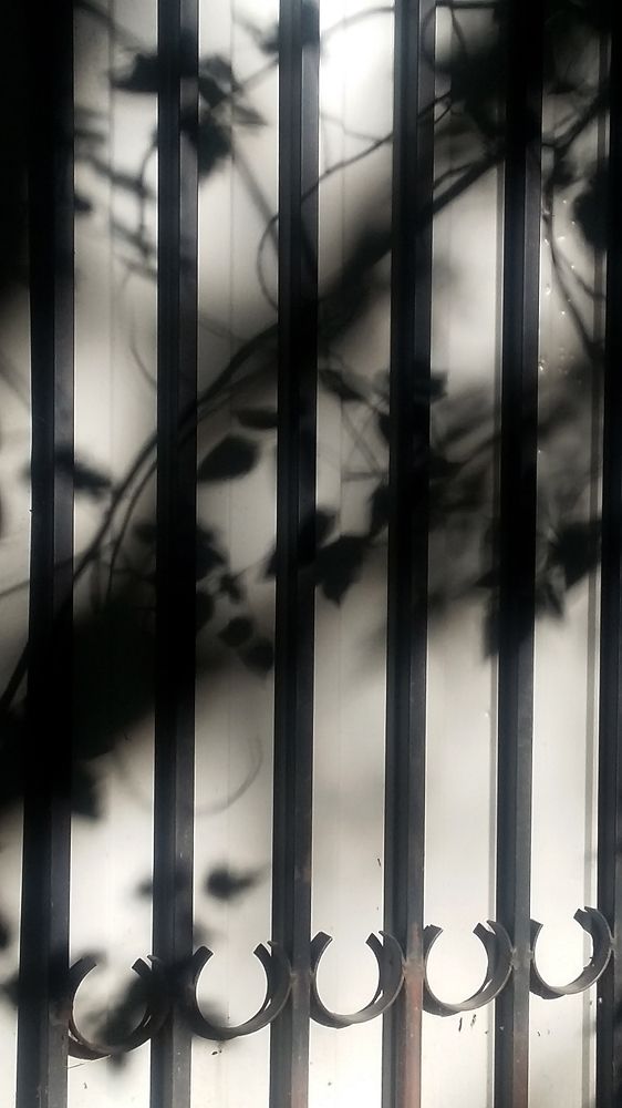 Photograph by Анастасия Сушинская