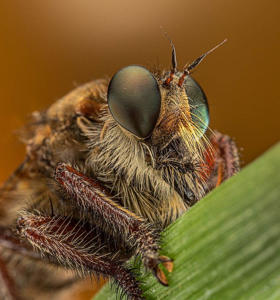 Photograph by Eduardo Di Fiore
