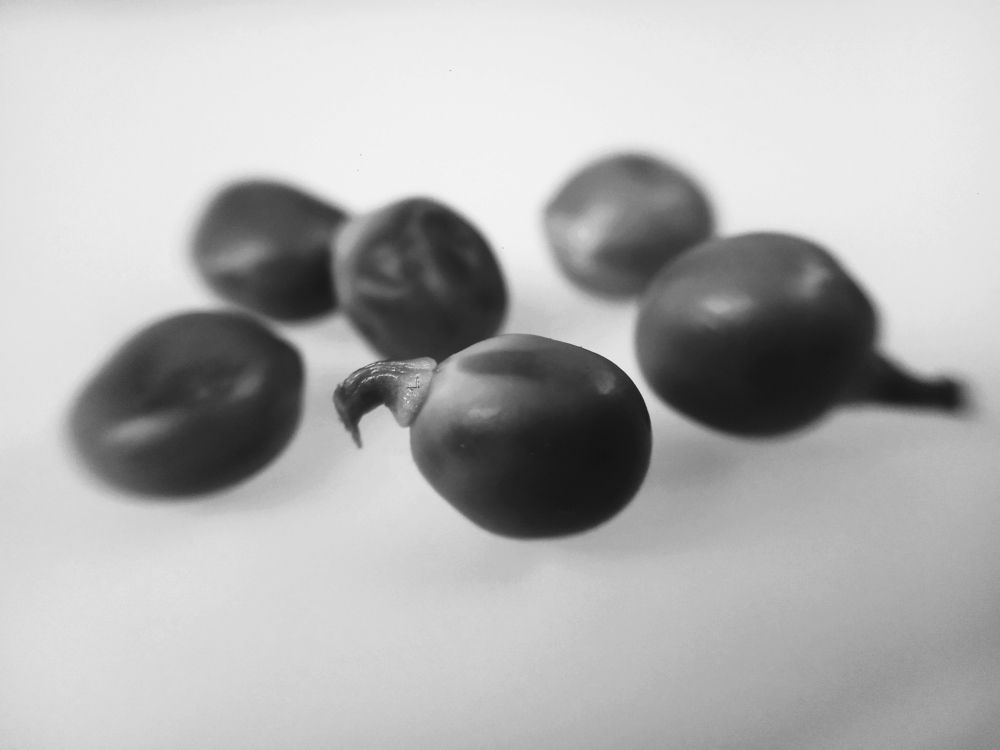 Photograph by Ritu Dinkar