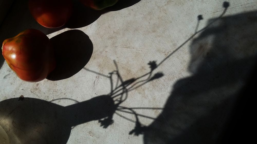 Photograph by Анастасия Сушинская