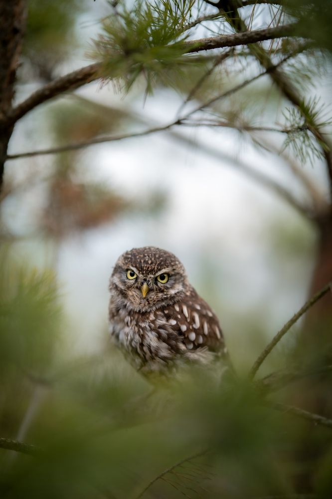 Photograph by Lucia Drietomska