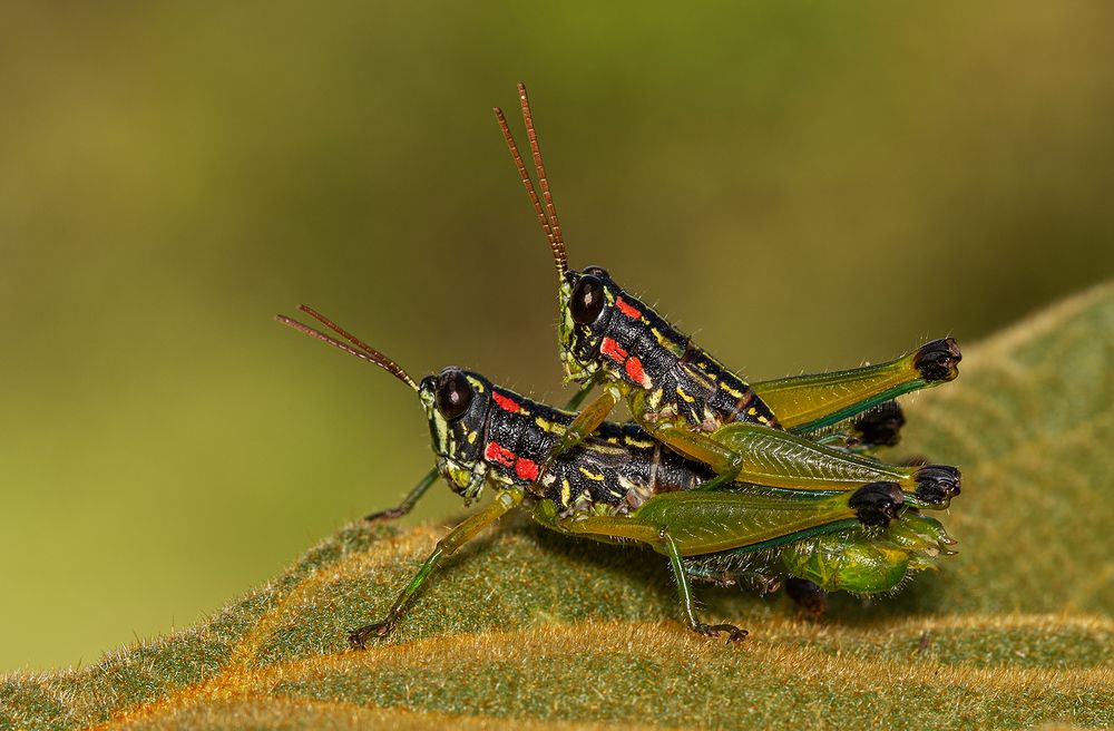 Photograph by Eduardo Di Fiore