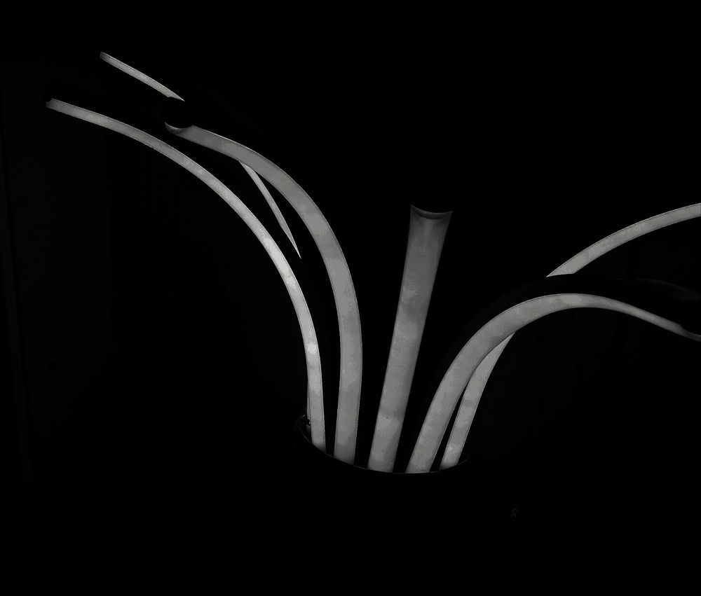 Photograph by Ritu Dinkar