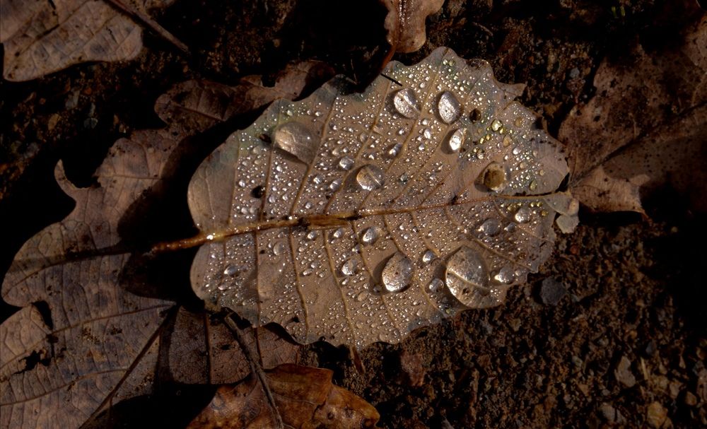 Photograph by Zoubida Ouamer