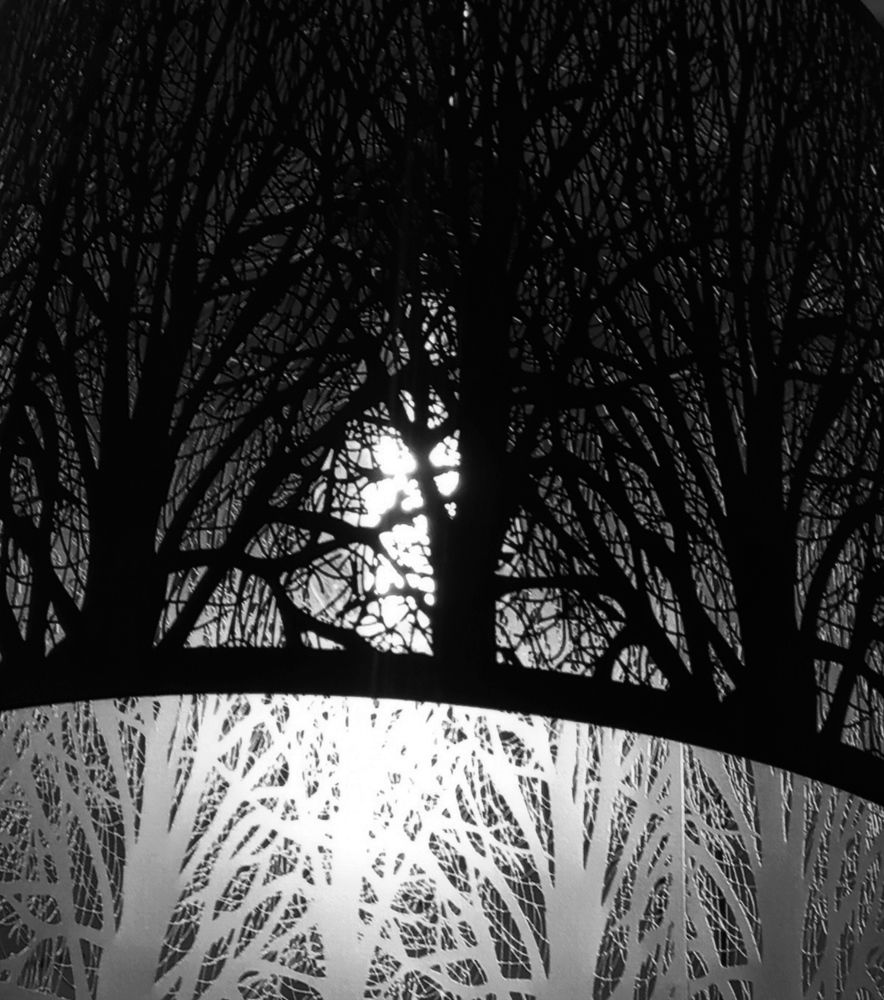 Photograph by Ritu Dinkar