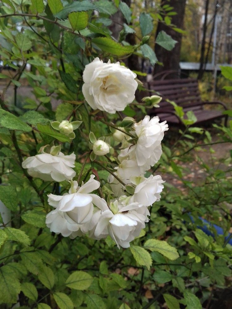 Фотография автора Владислава Андрюнина