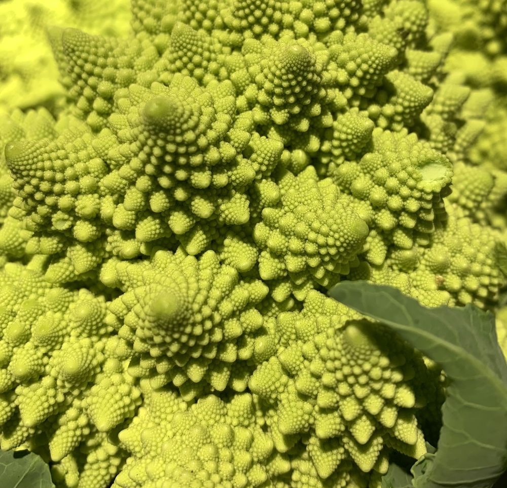 Photograph by Ольга Цветкова