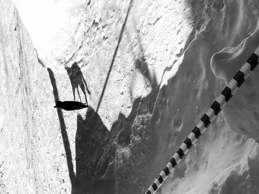 Photograph by Виктория Горельченко