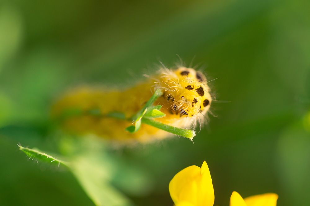 Photograph by Анастасия Петрова