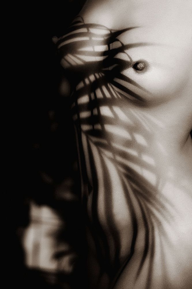 Photograph by Петр Вербицкий