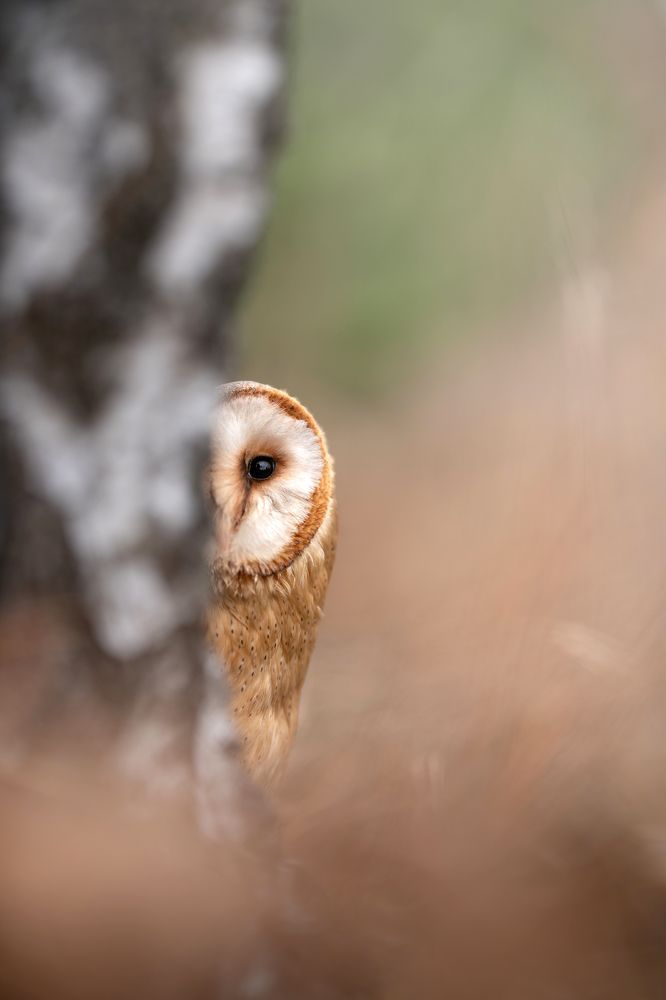 Photograph by Lucia Drietomska