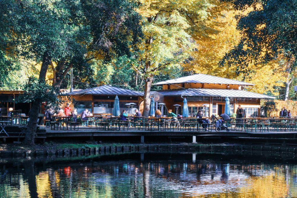 Фотография автора Kateryna Pronina