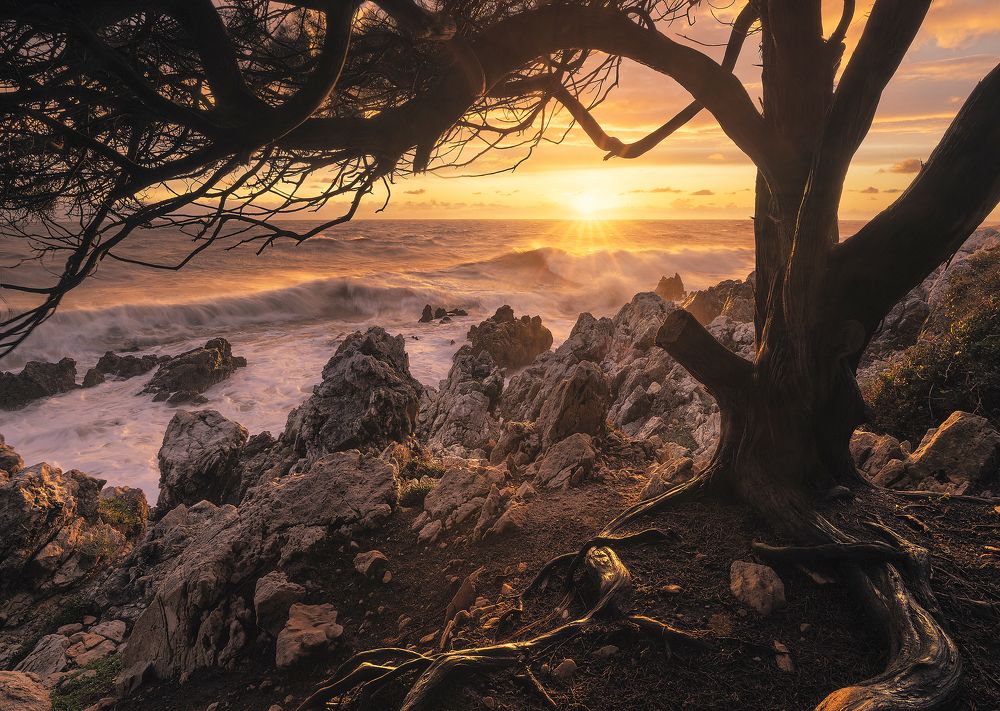 Photograph by Roksolyana Hilevych