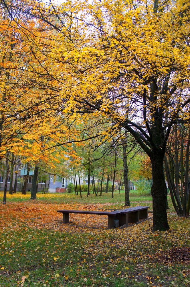 Photograph by Юля Хатыпова