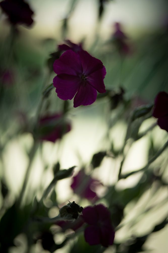 Photograph by Александр Руцкой