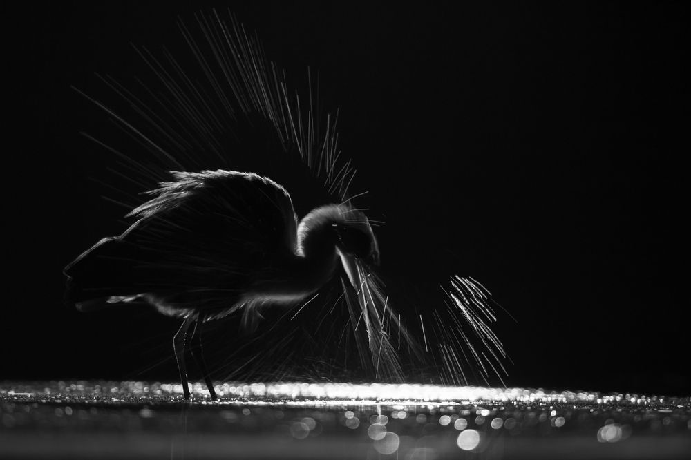 Photograph by Alena Bednářová