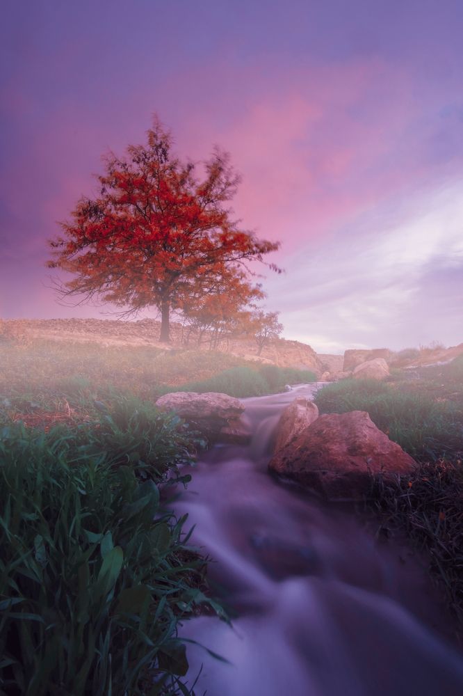 Photograph by boutaiba naoui