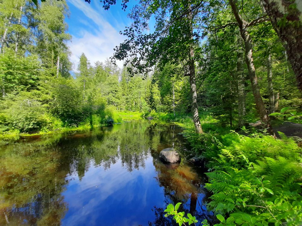 Река Рощинка