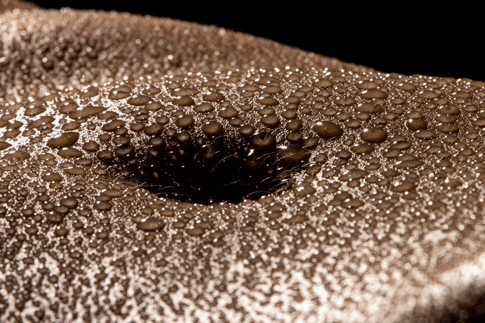 Фотография автора Дмитрий Фроленков