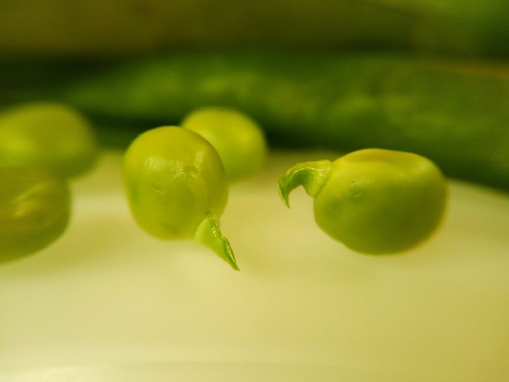 Photograph by Ritu Dinkar