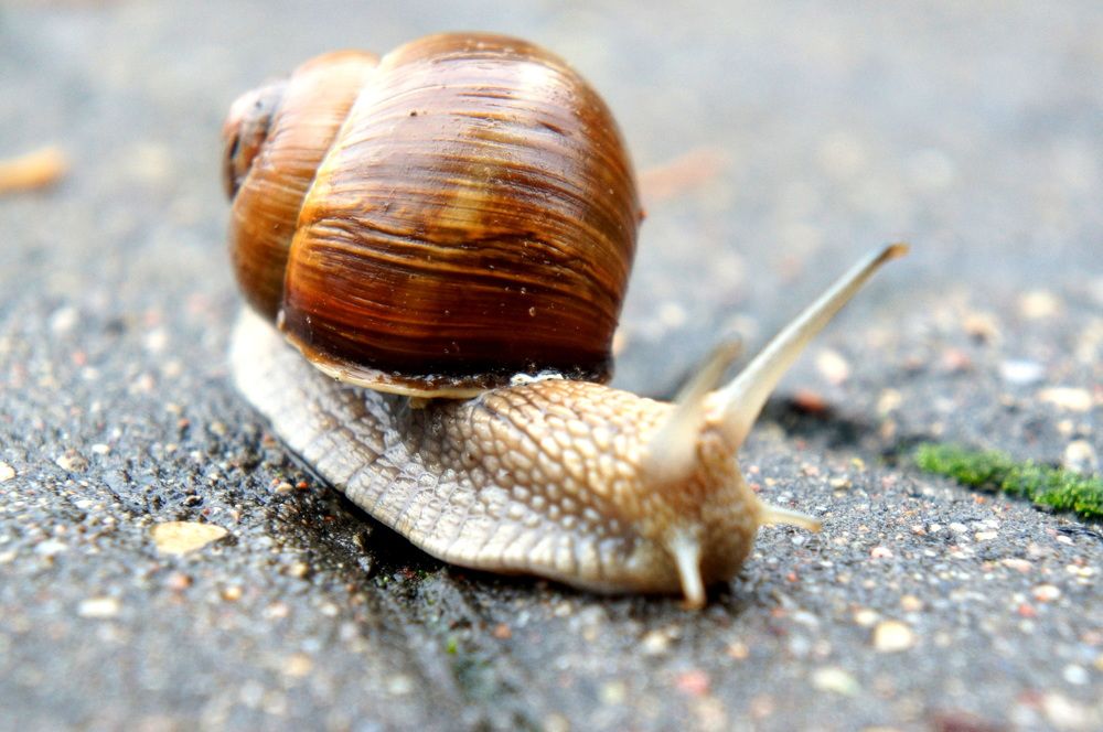 Photograph by Юля Хатыпова