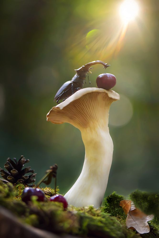 Photograph by Виктория Быканова