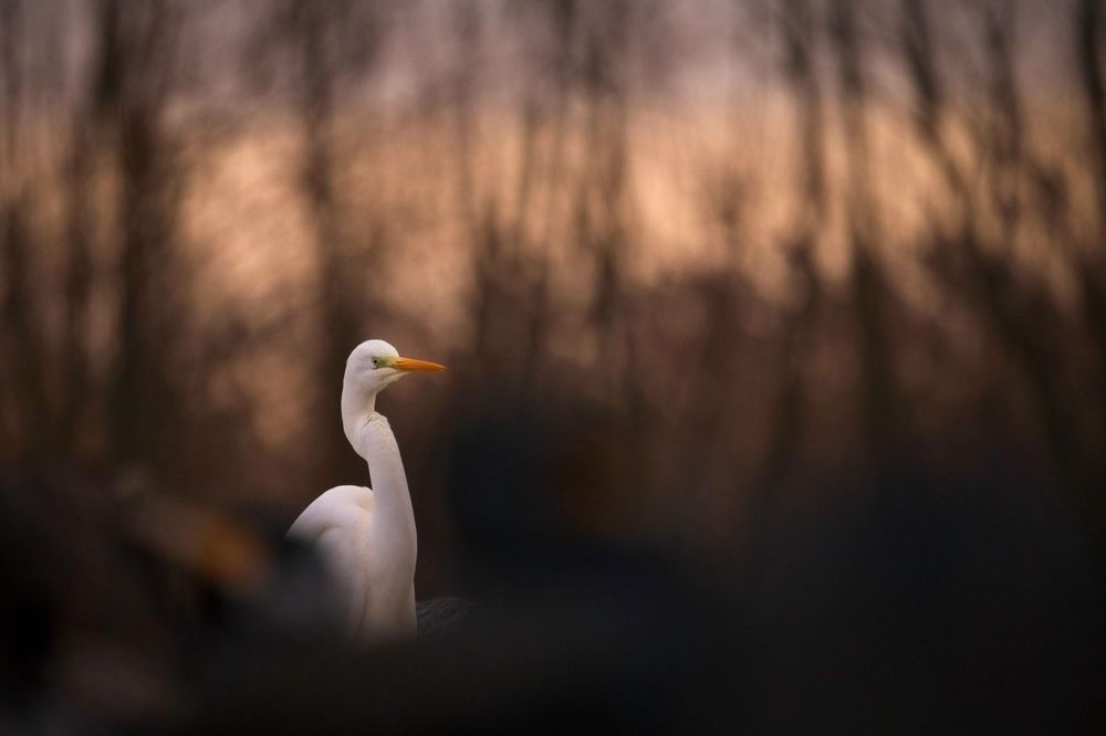 Photograph by Juraj Benčík