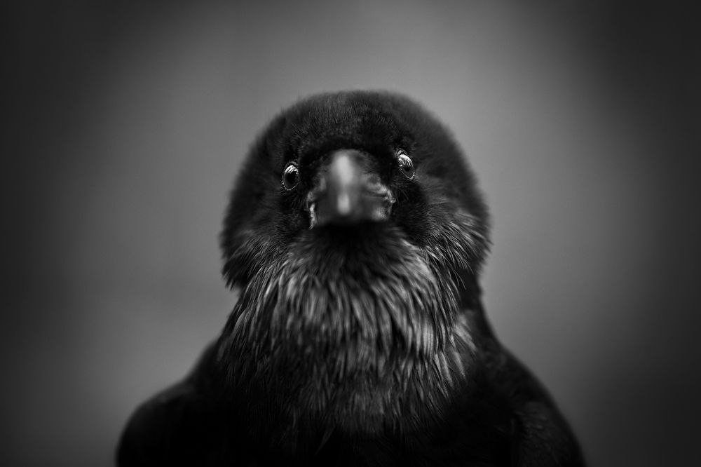 Photograph by Lucia Drietomska