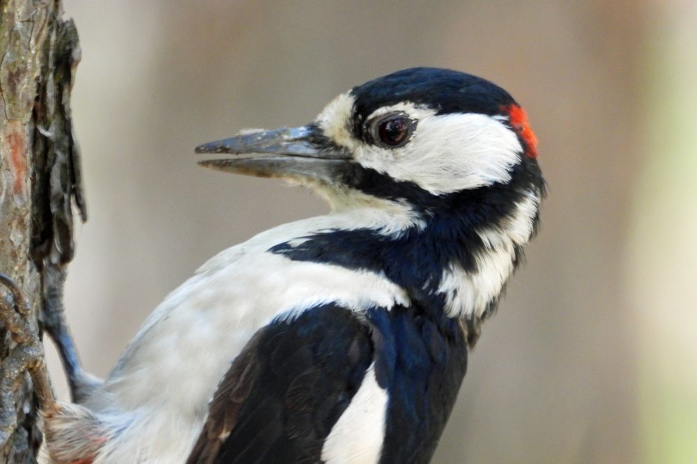 А что это вы тут делаете?