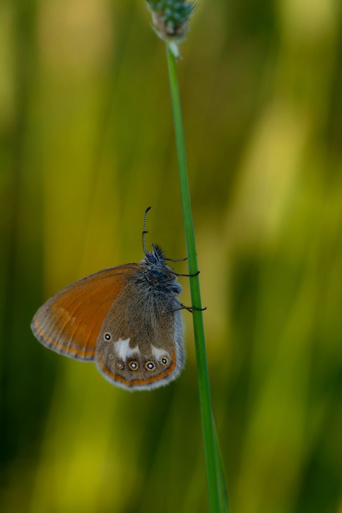 Photograph by Александр Калегин