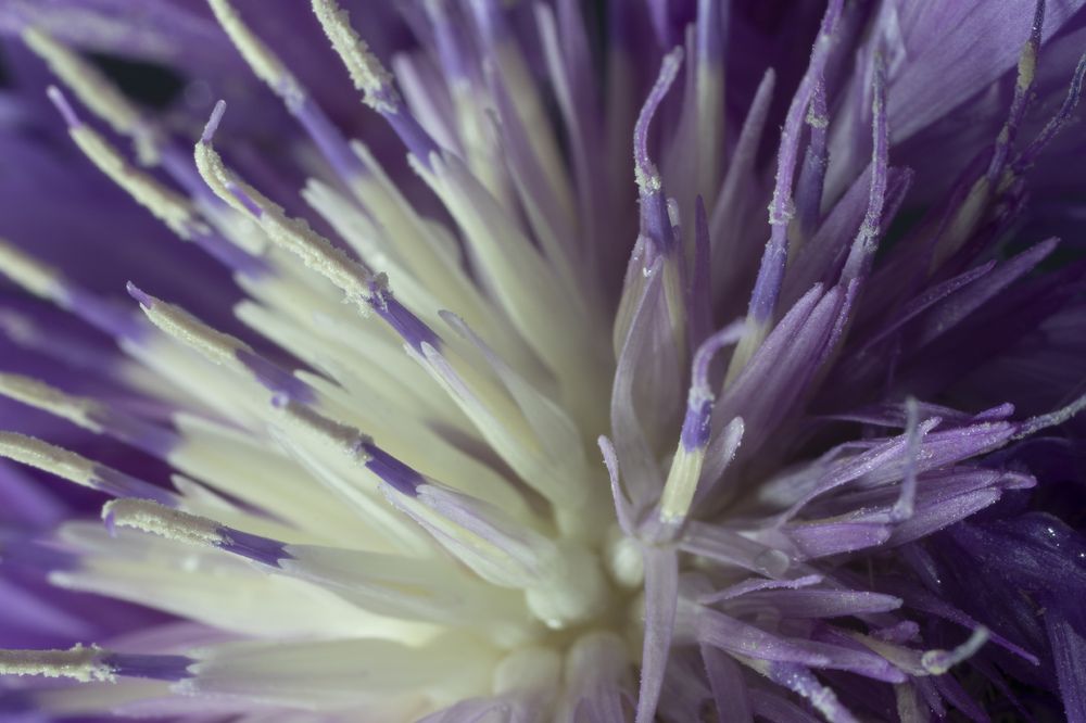 Photograph by Дмитрий Бельмаз