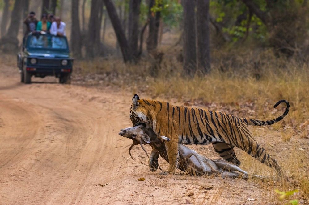 Photograph by Abhaya Shukla