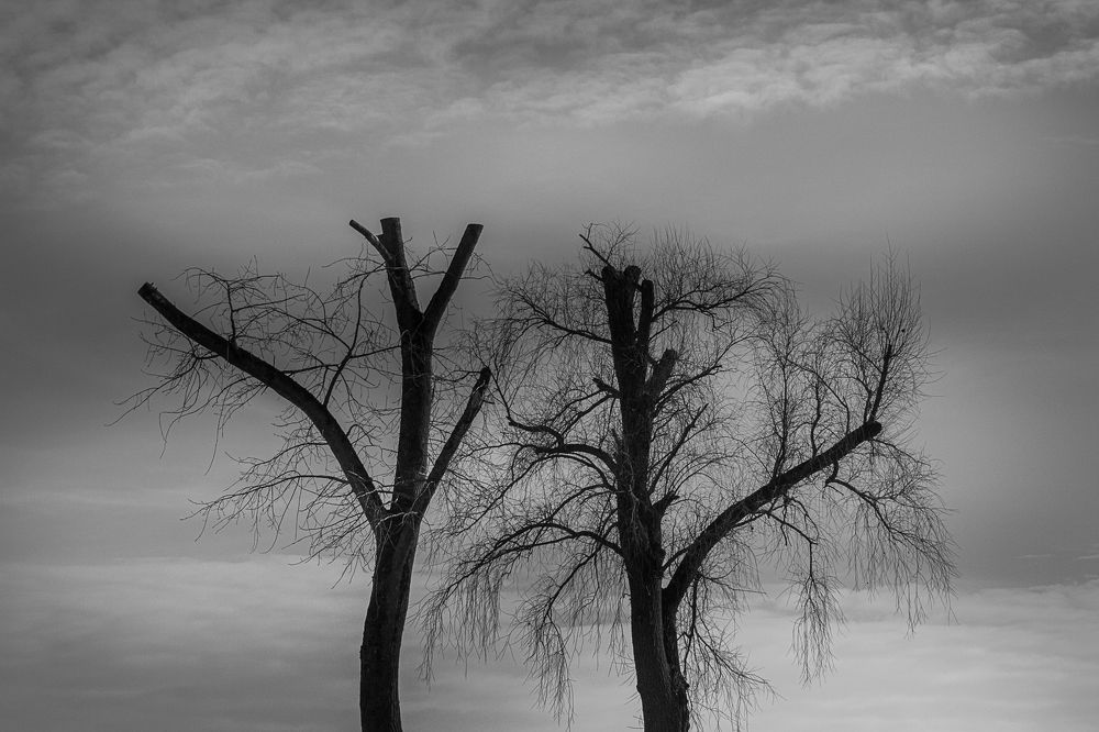 Photograph by Иван Полиненко