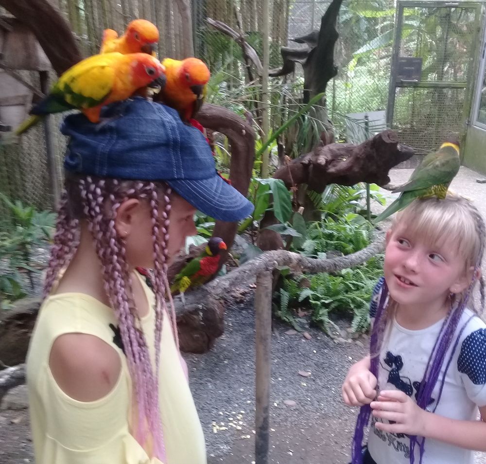 Как ты это делаещь?