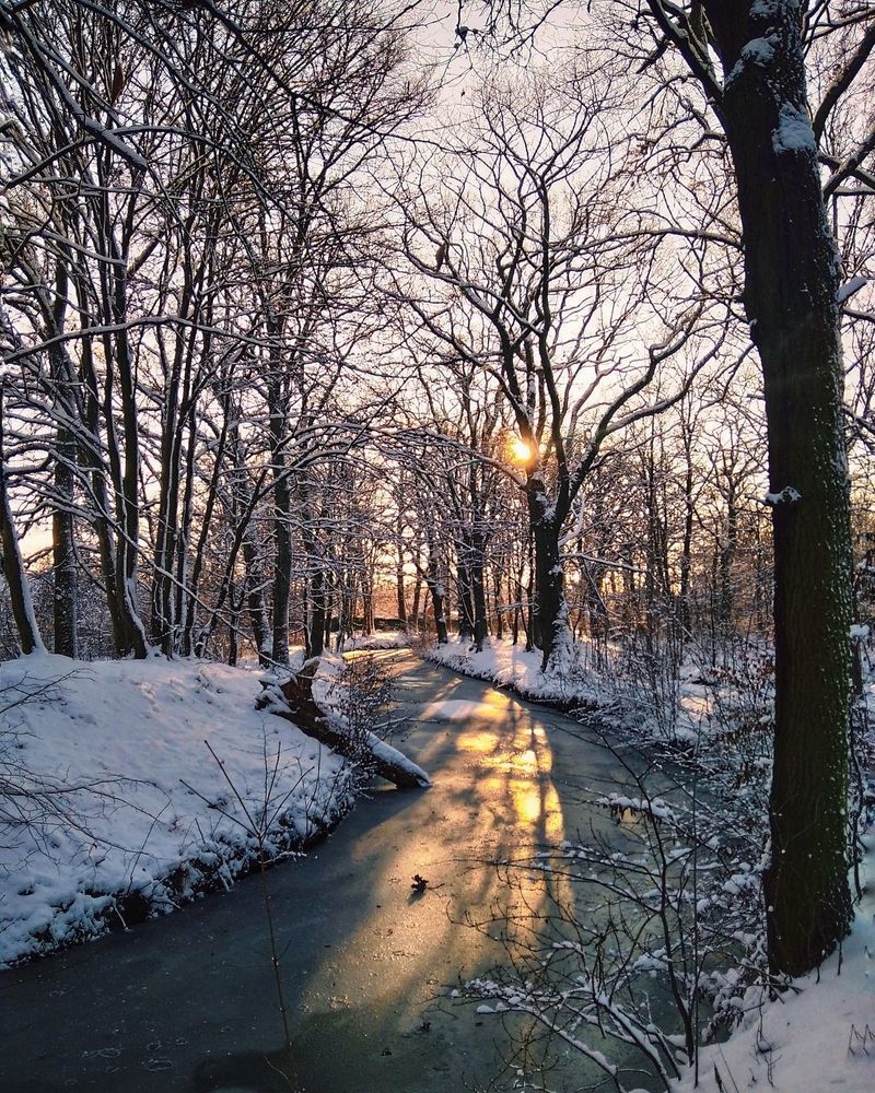 Photograph by Екатерина