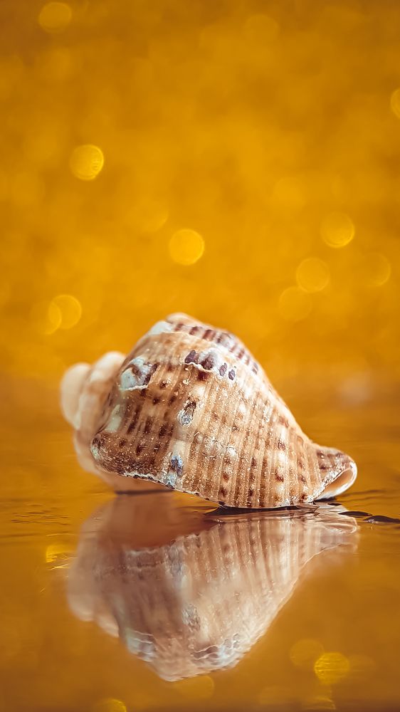 Photograph by Кристина Дугина