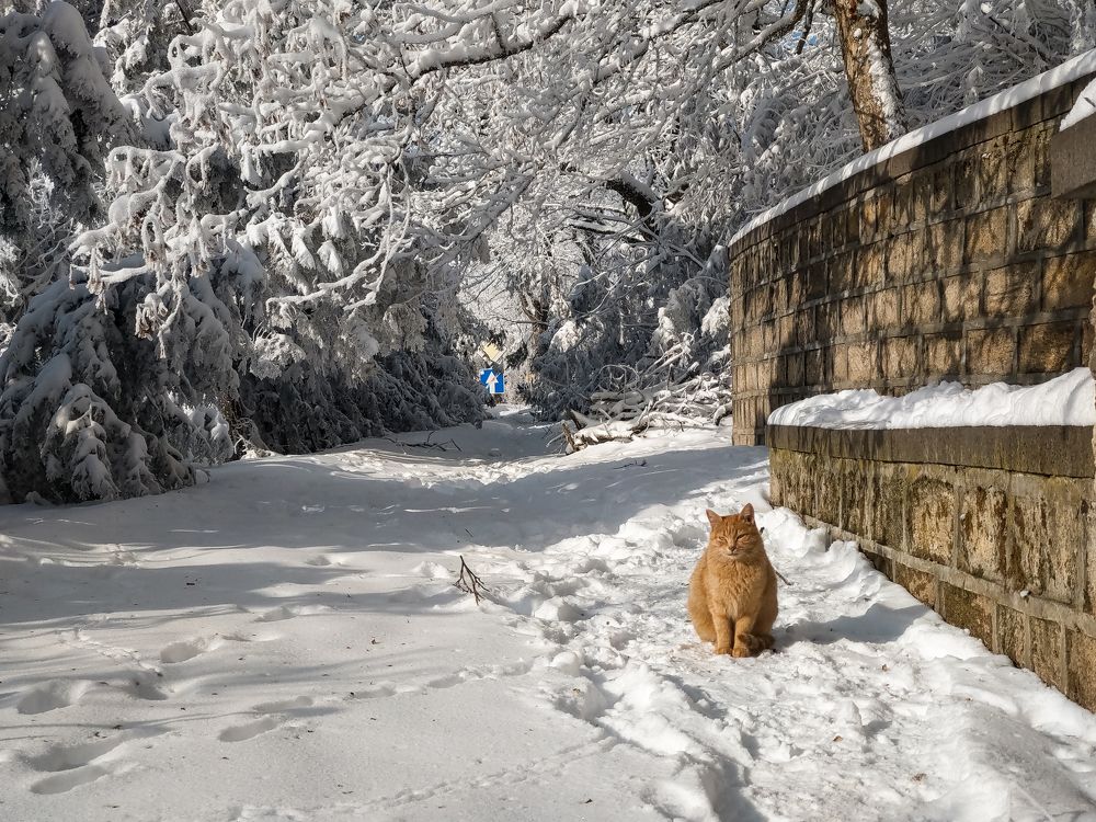 Photograph by Павел Сазанов